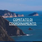 Comitato di coordinamento del 9.11.2021